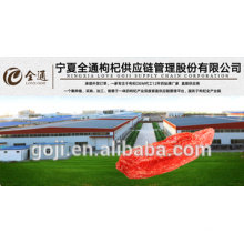 2016 new crop GOJI BERRIES----professional factory